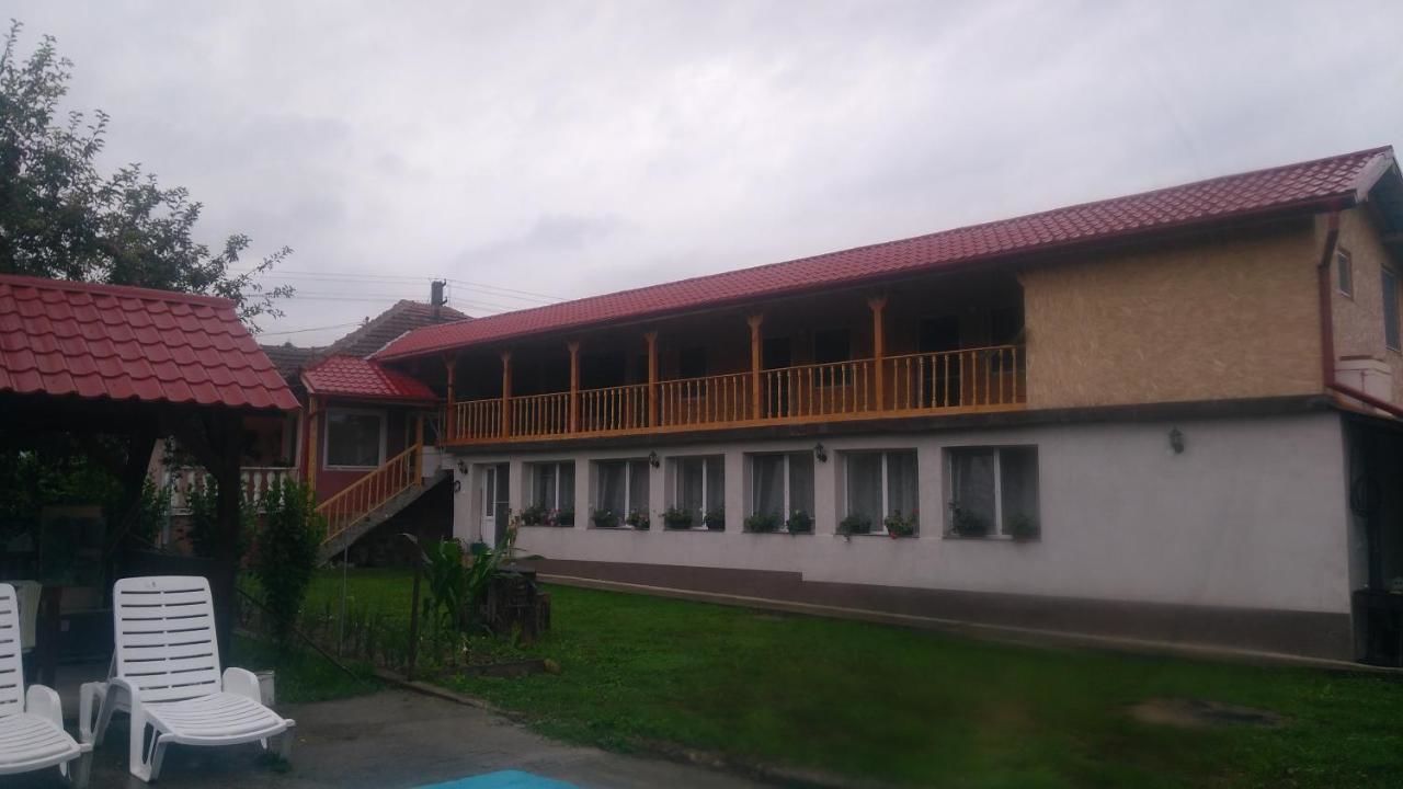 Дома для отпуска Casa Bia Sîrbi-4