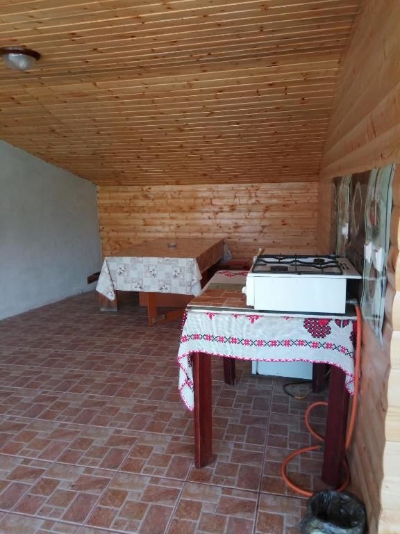 Дома для отпуска Casa Bia Sîrbi-35